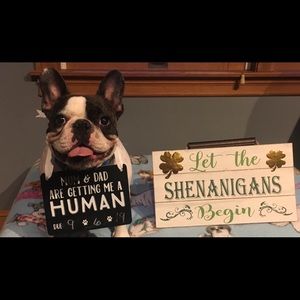 Everything must go!!! Please make an offer!!!!